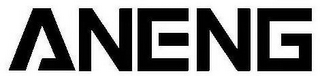 ANENG logo