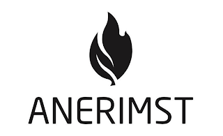 ANERIMST logo