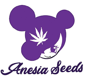 ANESIA SEEDS logo