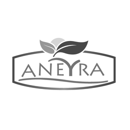 ANEYRA logo