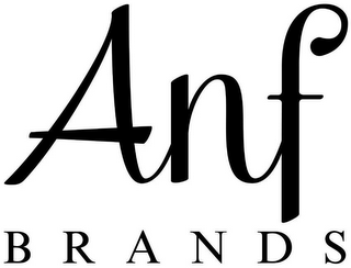 ANF BRANDS logo