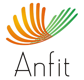 ANFIT logo