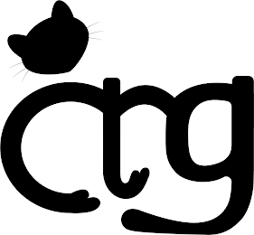 ANG logo