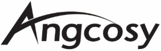 ANGCOSY logo