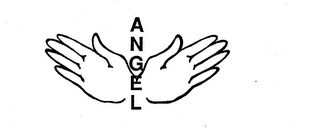 ANGEL logo