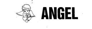 ANGEL logo