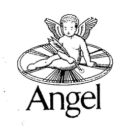 ANGEL logo