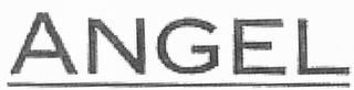 ANGEL logo