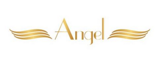 ANGEL logo