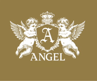 ANGEL A logo