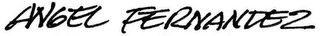 ANGEL FERNANDEZ logo