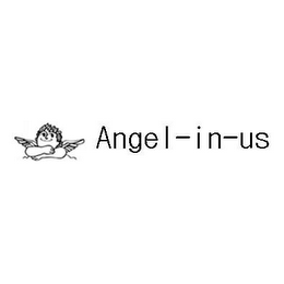 ANGEL-IN-US logo