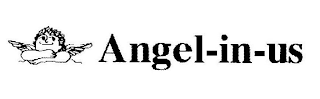 ANGEL-IN-US logo