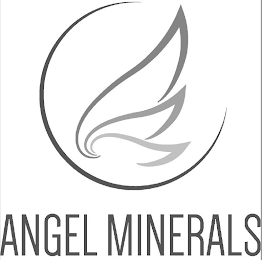 ANGEL MINERALS logo