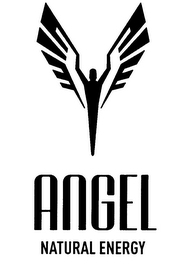 ANGEL NATURAL ENERGY logo