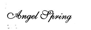 ANGEL SPRING logo