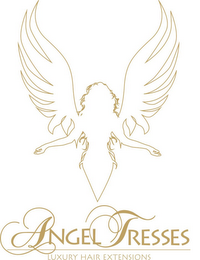ANGEL TRESSES LUXURY HAIR EXTENSIONS logo