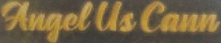 ANGEL US CANN logo