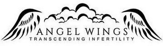 ANGEL WINGS TRANSCENDING INFERTILITY logo