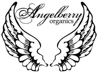 ANGELBERRY ORGANICS logo