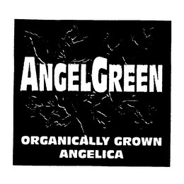 ANGELGREEN ORGANICALLY GROWN ANGELICA logo