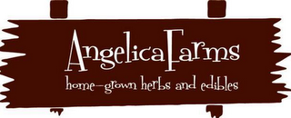 ANGELICA FARMS HOME-GROWN HERBS AND EDIBLES logo