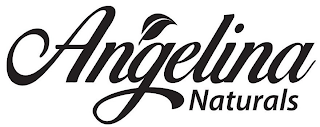 ANGELINA NATURALS logo