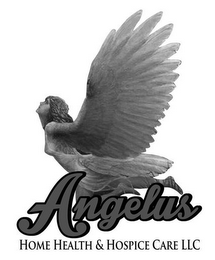 ANGELUS HOME HEALTH & HOSPICE CARE logo