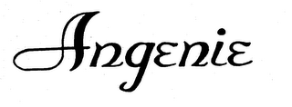 ANGENIE logo