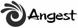 ANGEST logo