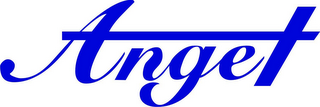 ANGET logo