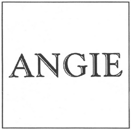 ANGIE logo