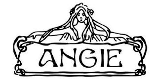 ANGIE logo
