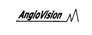 ANGIOVISION logo