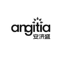 ANGITIA logo