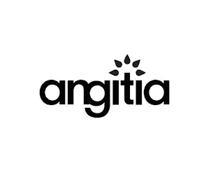 ANGITIA logo