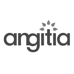 ANGITIA logo