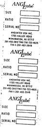 ANGLCUBE logo