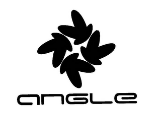 ANGLE logo