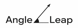 ANGLE LEAP logo