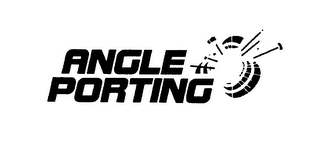 ANGLE PORTING logo