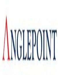 ANGLEPOINT logo