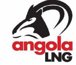 ANGOLA LNG logo