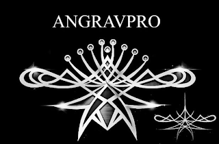 ANGRAVPRO logo