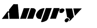 ANGRY logo