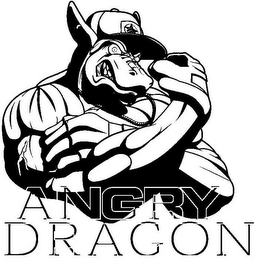 ANGRY DRAGON logo