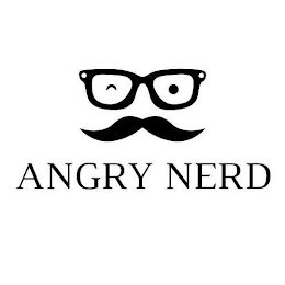 ANGRY NERD logo
