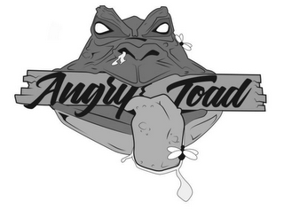 ANGRY TOAD logo