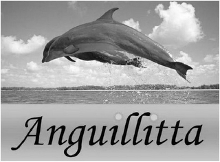 ANGUILLITTA logo