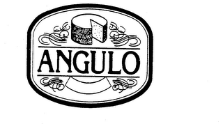 ANGULO logo